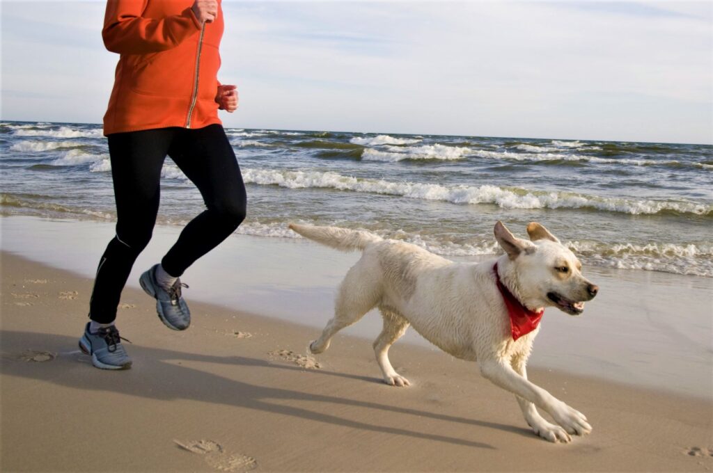 Courir avec son chien