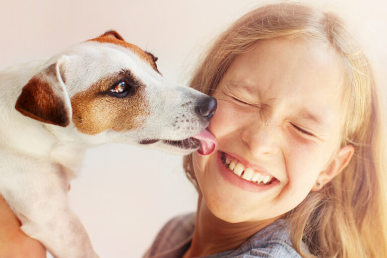 Chien lèche visage
